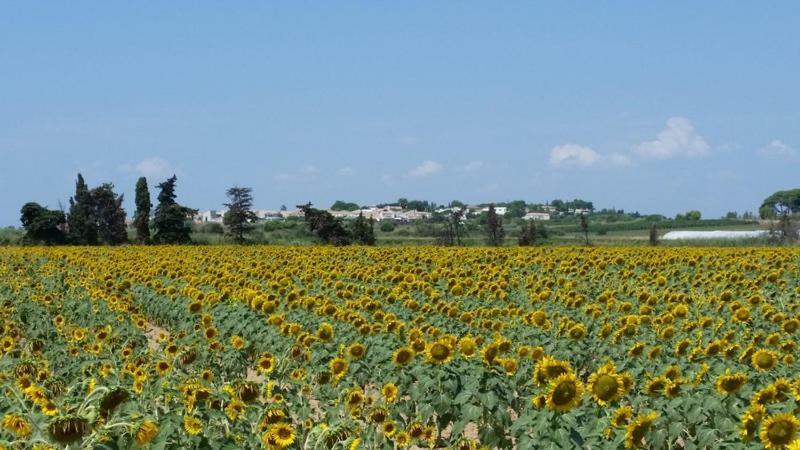 Villa Manet Portiragnes Buitenkant foto